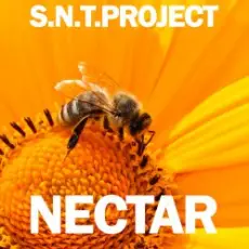 Обложка: S.N.T.Project - Nectar