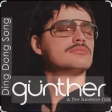 Обложка: Gunther & the Sunshine Girls - Ding Dong Song