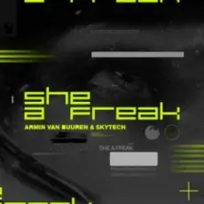 Обложка: Armin van Buuren & Skytech - She A Freak