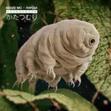Обложка: Noize MC - Катацумури