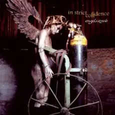 Обложка: In Strict Confidence - Engelsstaub (Implant Mix)