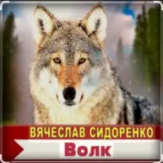 Обложка: Вячеслав Сидоренко - Волк