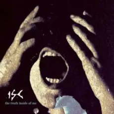 Обложка: In Strict Confidence - The Truth Inside Of Me (Controlled Fusion Remix)