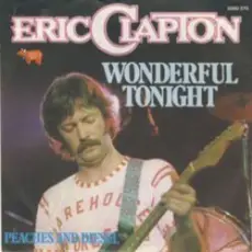 Обложка: Eric Clapton - Wonderful Tonight