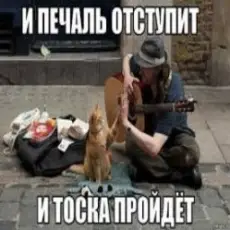 Обложка: Ноль - Человек И Кошка