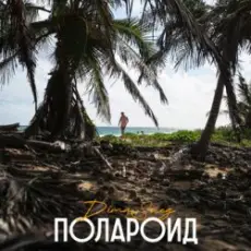 Обложка: Dima Sneg - Полароид (Remix)