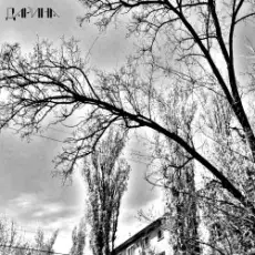 Обложка: TheNobleMan - много дел