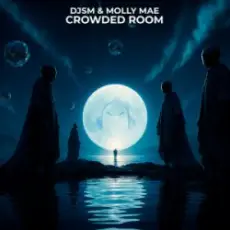 Обложка: DJSM & Molly Mae - Crowded Room