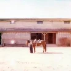 Обложка: Moon Tang – Molly