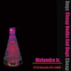 Обложка: Malandra Jr - Infinity