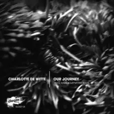 Обложка: Charlotte De Witte - When The Going Gets Rough (Hans Bouffmyhre Remix)