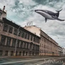 Обложка: MONOЛИЗА - Алтай