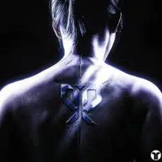 Обложка: Pirapus - WERK