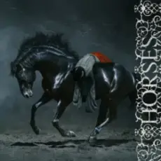 Обложка: Winona Oak – Horses