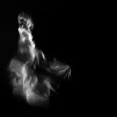 Обложка: Anna Petrash – Цвіт