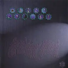 Обложка: Wagon Christ - Sopping Shitty