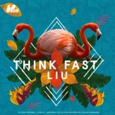 Обложка: Liu - Think Fast
