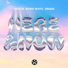 Обложка: NIKSTER & Robin White & YRIQUE - Here & Now