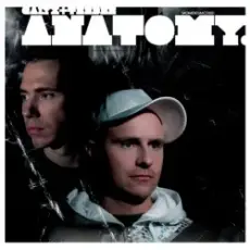 Обложка: Calyx And Teebee - The Divide