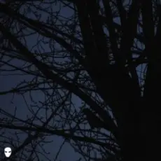 Обложка: Pharmacist - Dreamin