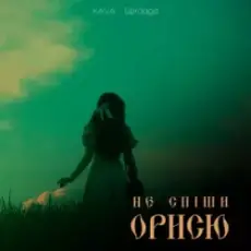 Обложка: KAVA & Spraaga - Не спіши Орисю