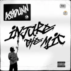 Обложка: Ashdunn - Injure The Mic