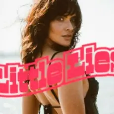 Обложка: Fleetwood Mac - Little Lies (Mentol Cover Remix)