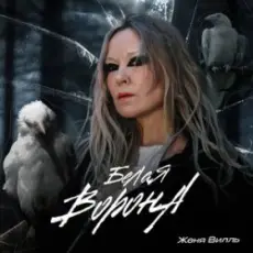 Обложка: Женя Вилль – Залетаем В Новый Год