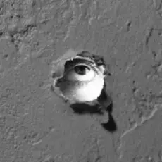 Обложка: bbno$ - why am i like this