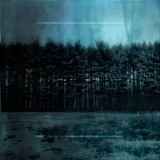 Обложка: Taylor Deupree - A Dead Yellow Carpet