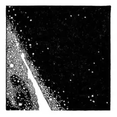 Обложка: Ivy Lab - Thirsty