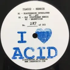 Обложка: Kerrie - Eerie Acid