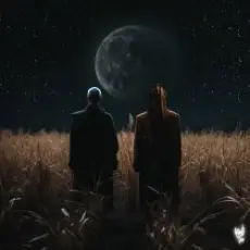 Обложка: Пикник feat. Burito - Вопросы