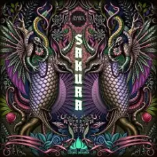 Обложка: Cosmic Brahma - Inpsyde Me