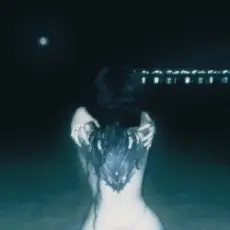 Обложка: bulletrain - dragontattoo (slowed)