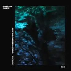 Обложка: Deran K. – Dancing The Moonlight