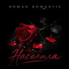 Обложка: ROMAN ROMANTIC - Насолила