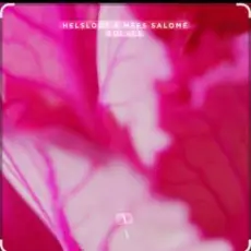Обложка: Helsloot & Mees Salome - Solace (Extended Mix)