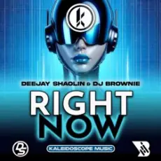 Обложка: Deejay Shaolin & DJ Brownie - Right Now