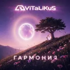 Обложка: ViTaLiKuS - Гармония