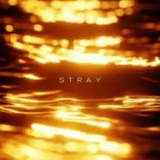 Обложка: R3DN1K - Stray