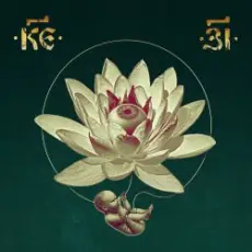 Обложка: 25/17 - Мальчик