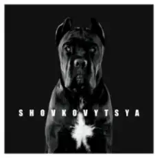 Обложка: LATEXFAUNA - Shovkovytsya