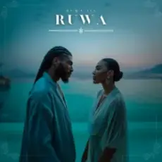 Обложка: Ruwa Jin – Ruwa