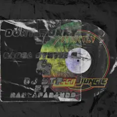 Обложка: Dj Stp, Ragga Stevie G - Pass The Weed