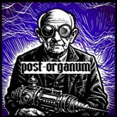 Обложка: Post-Organum - Lament
