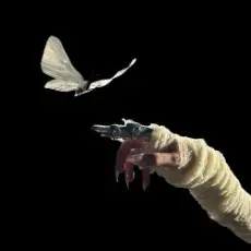 Обложка: The Temper Trap - Sweet Disposition (ARTBAT Extended Remix)