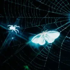 Обложка: MOTHICA - Toxins (Remix)