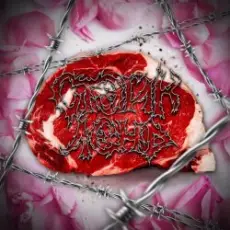 Обложка: СТЭЙК - Помидорка