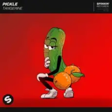 Обложка: Pickle - Journey